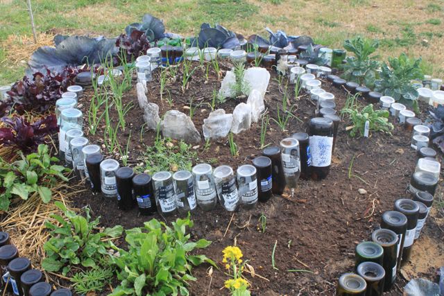 Bottle Spiral Garden