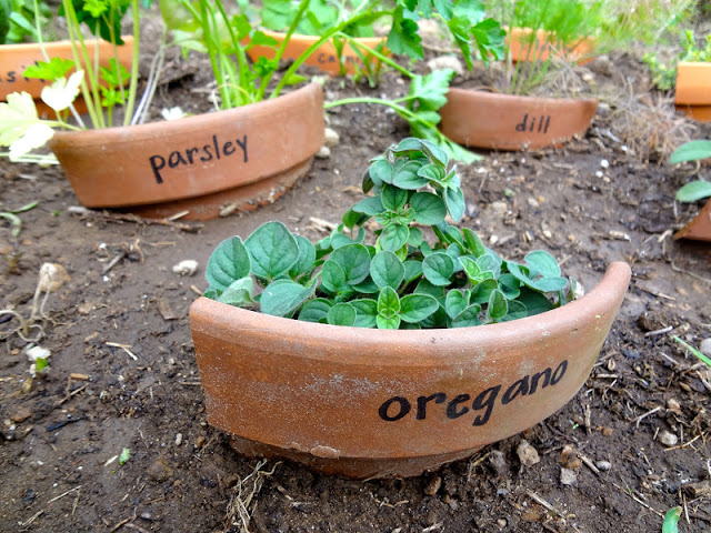 Broken Terracotta Pot Markers