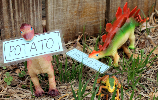 Dinosaur Plant Markers