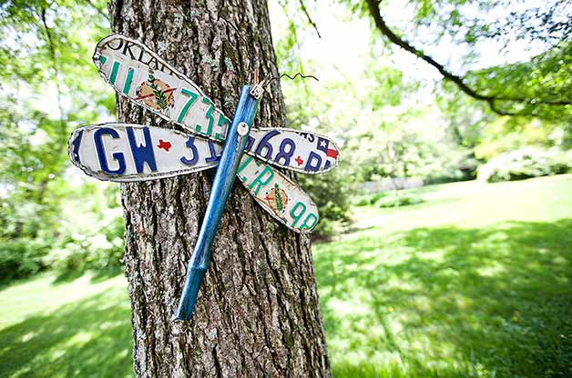 License Plate Dragonfly