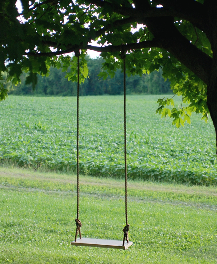 Tree Swing