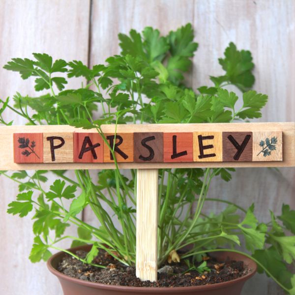 Wooden Plant Markers