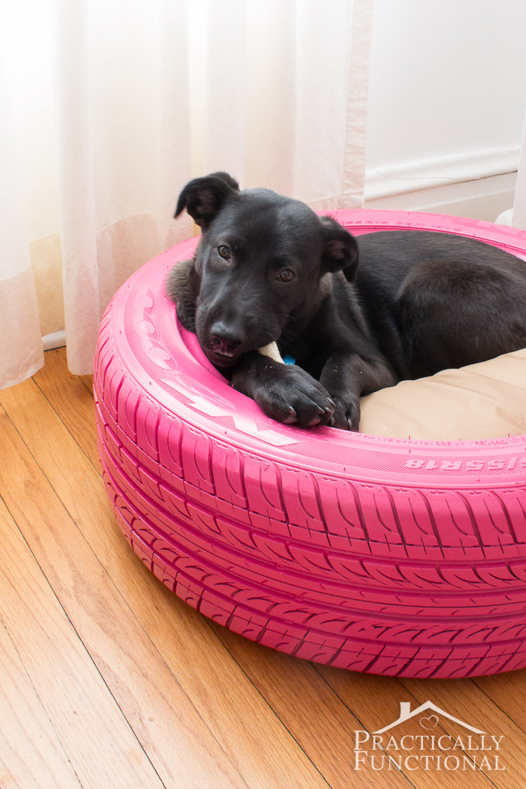 Dog Bed From A Recycled Tire