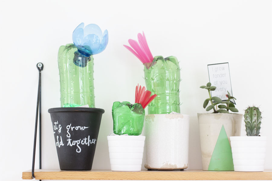 Plants Made From Recycled Plastic Bottles