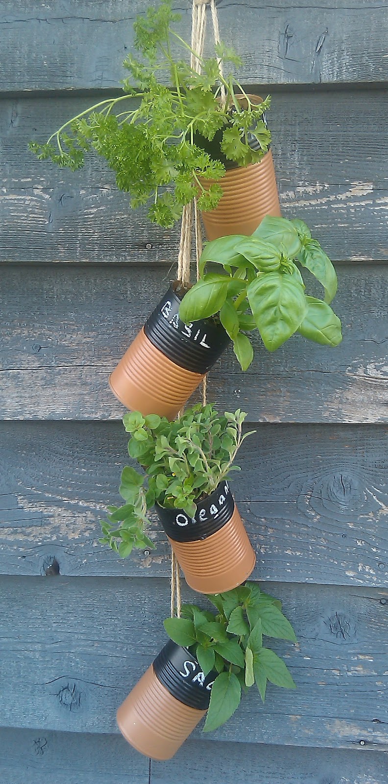 Vertical Herb Garden