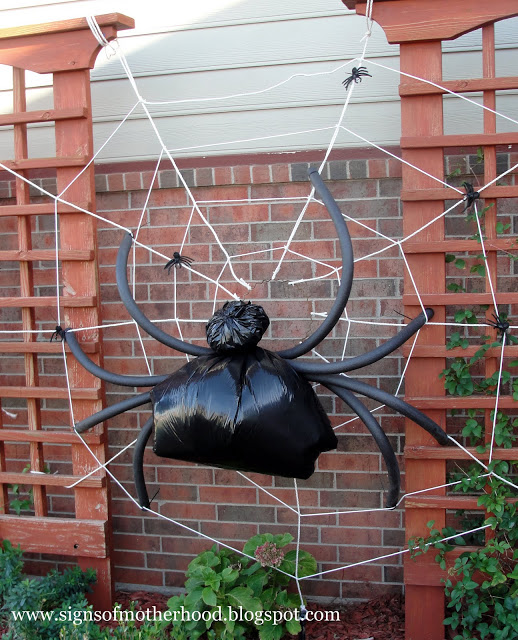 Trash Bag Spider