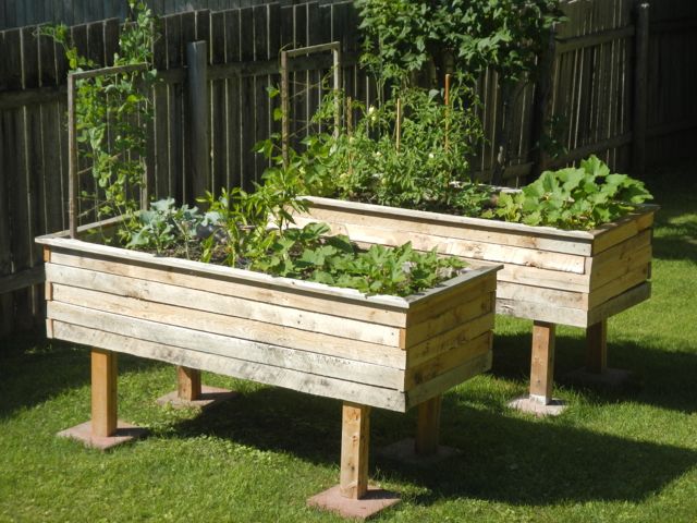 Raised Garden Beds Using Pallets