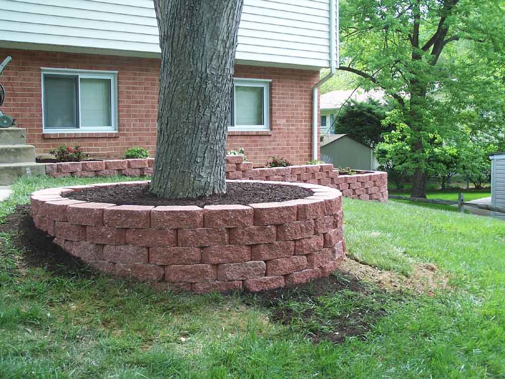 brick tree ring