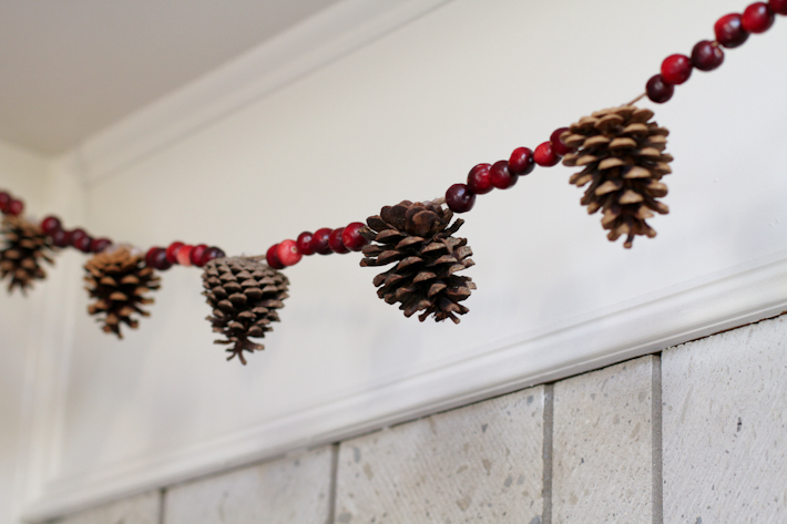 Pine Cone Garland