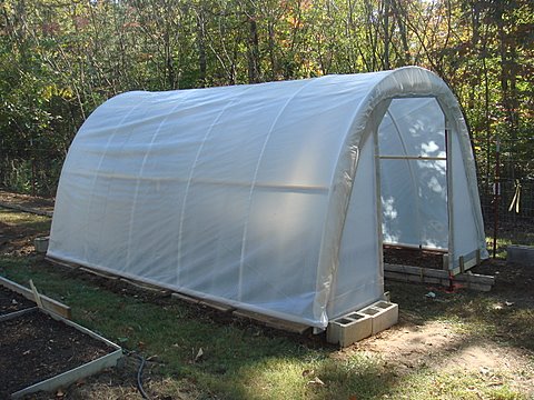 50 Dollar Greenhouse