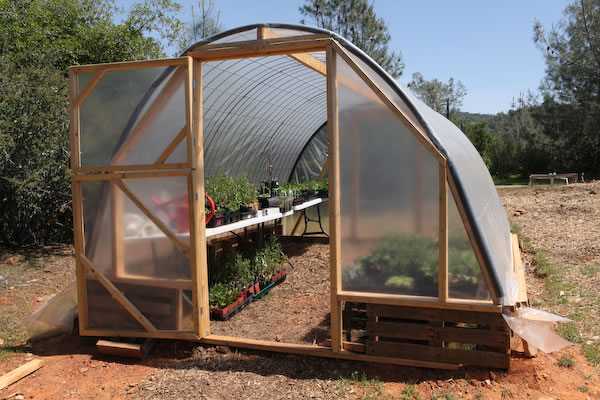 Cattle Panel Pallet Greenhouse