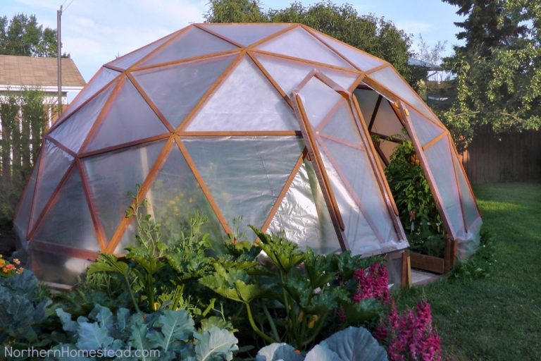 Geodome Greenhouse