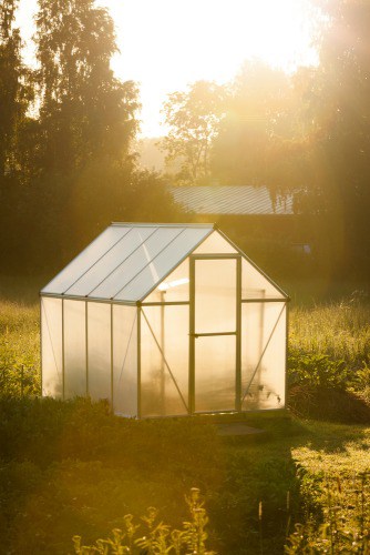 Simple and Sustainable DIY Bamboo Greenhouse