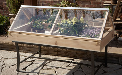 Tabletop Greenhouse