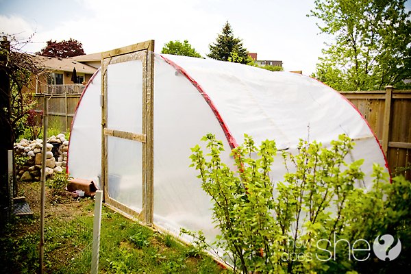 Trampoline Frame Greenhouse