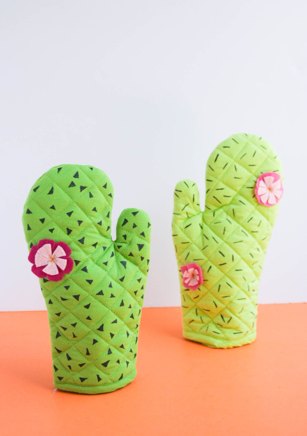 Cactus Oven Mitts