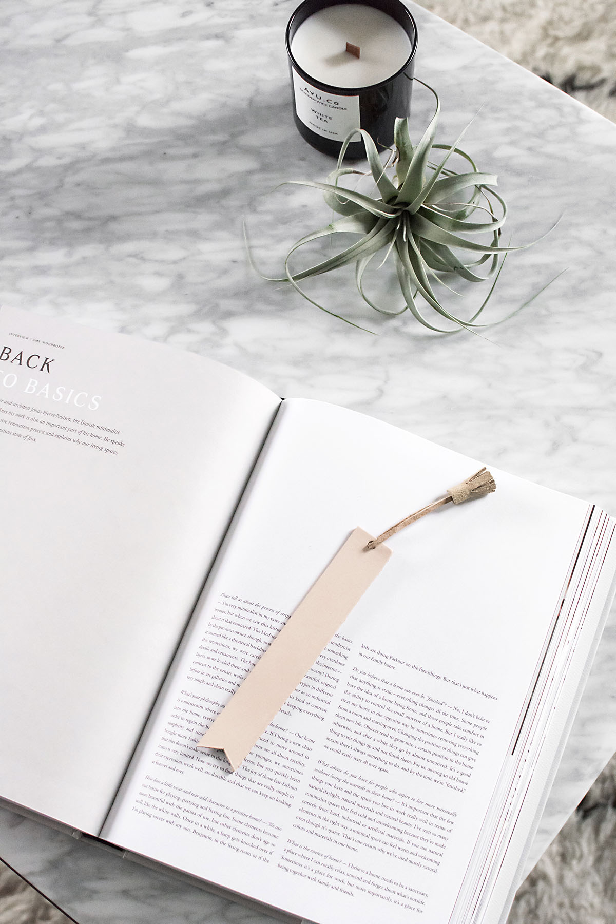 Leather Tassled Bookmark