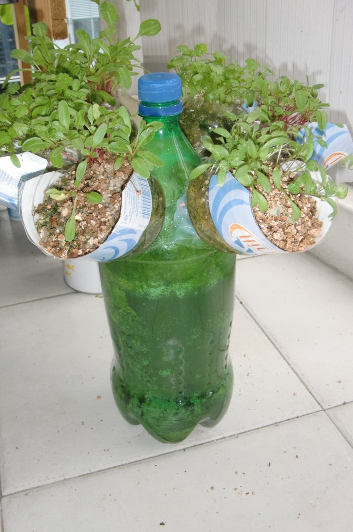 Self-Watering Indoor Garden