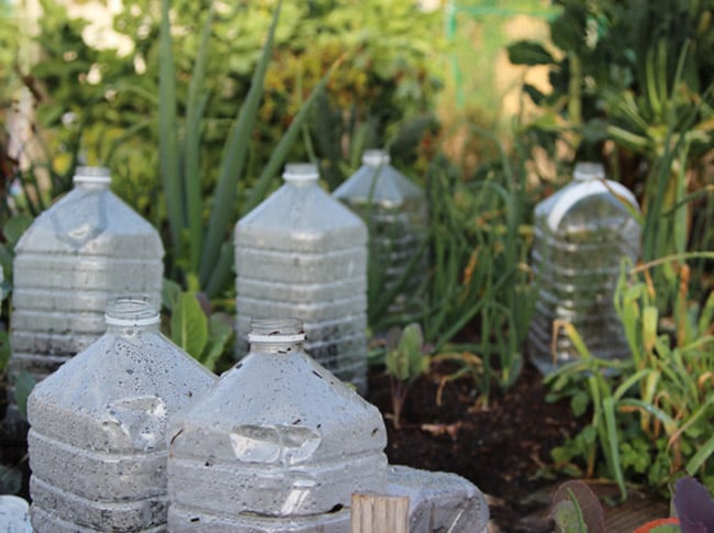 bottle greenhouses