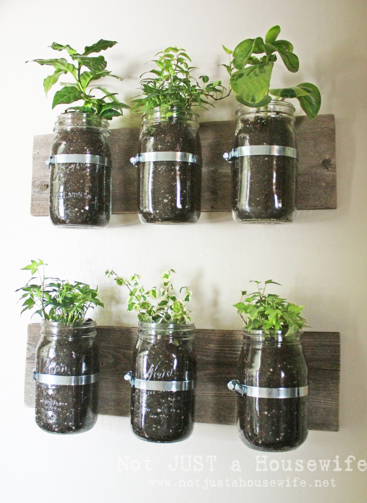 Mason Jar Herb Garden