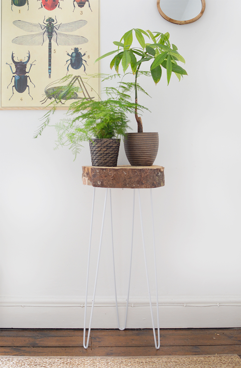 Hairpin Leg and Wood Slice Plant Stand