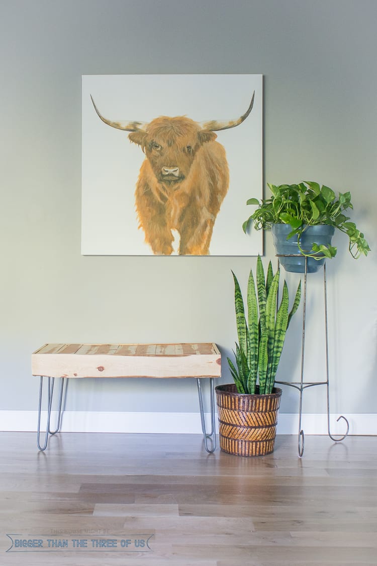 Rustic Modern DIY Wood Bench with Hairpin Legs