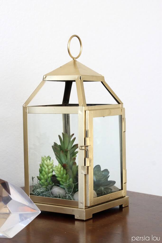 Lantern Terrarium