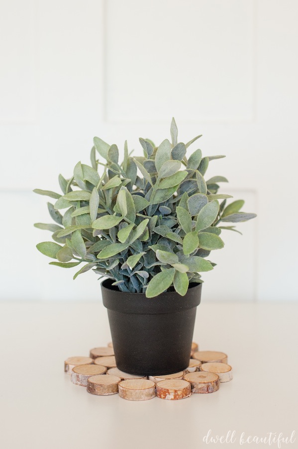 Mini Wood Slice Trivet